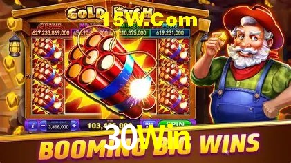Security Systems 30Win
